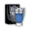 YVES DORGEVAL VICTORIOUS SILVER X110ML